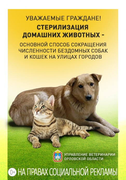 Памятка по стерилизации: домашних животных в Орловской области