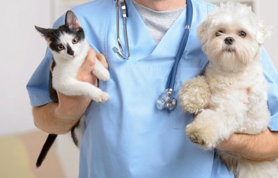 Развитие ветеринарной медицины