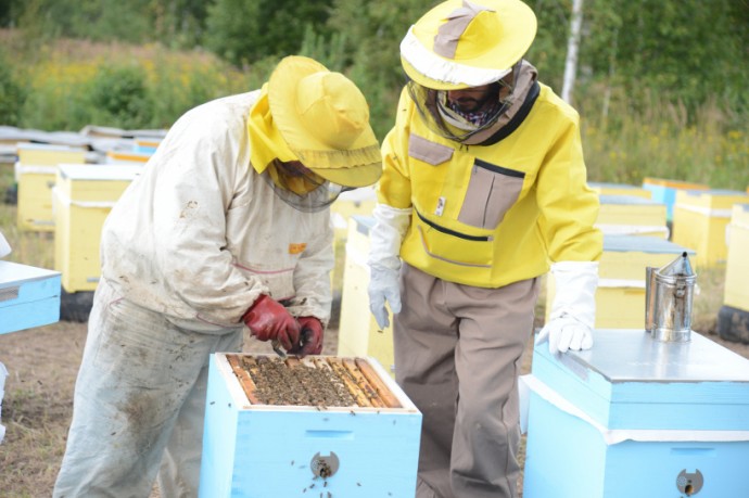 Разъяснение Управления ветеринарии Орловской области пчеловодам