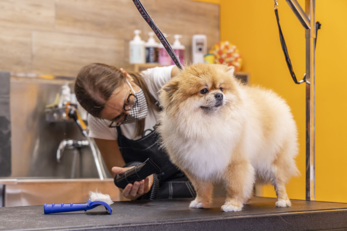 Чем грозит колтун для кожи и шерсти и как решить проблему вовремя Чем грозит колтун для кожи и шерсти и как решить проблему вовремя