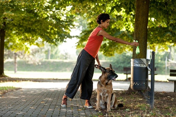 Во французском Безье вводят генетические паспорта собак для борьбы с фекалиями на улицах