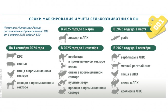 Определены сроки маркирования сельскохозяйственных животных