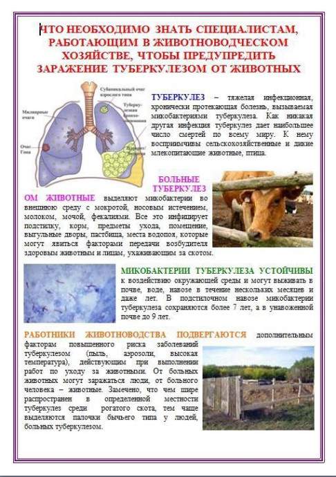 Внимание населению. Туберкулёз животных Внимание населению. Туберкулёз животных